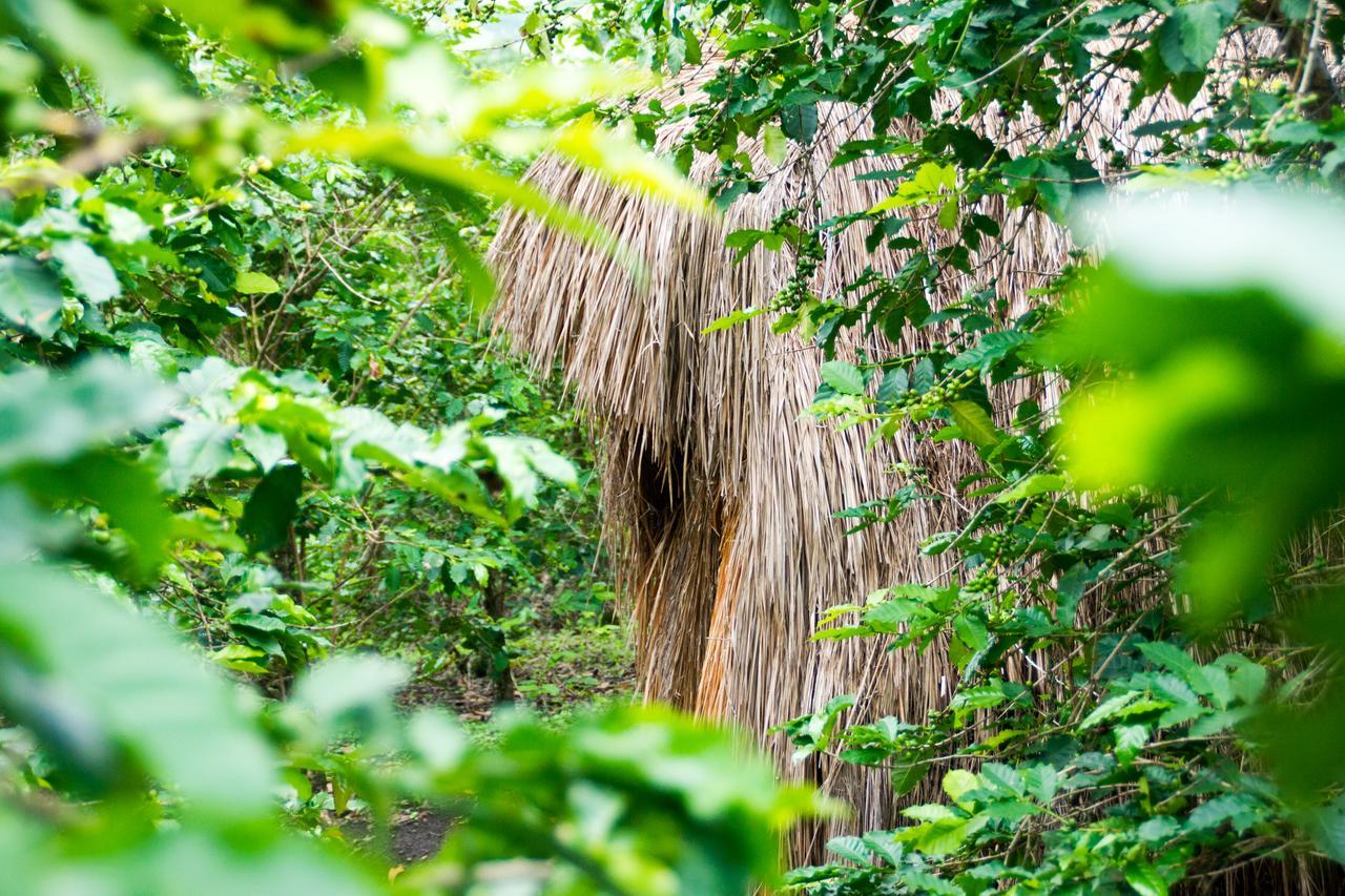 Queen Elizabeth Pvt Lodge Kichwamba Luaran gambar