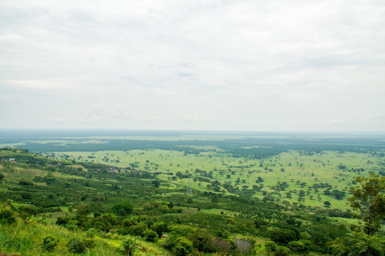 Queen Elizabeth Pvt Lodge Kichwamba Luaran gambar
